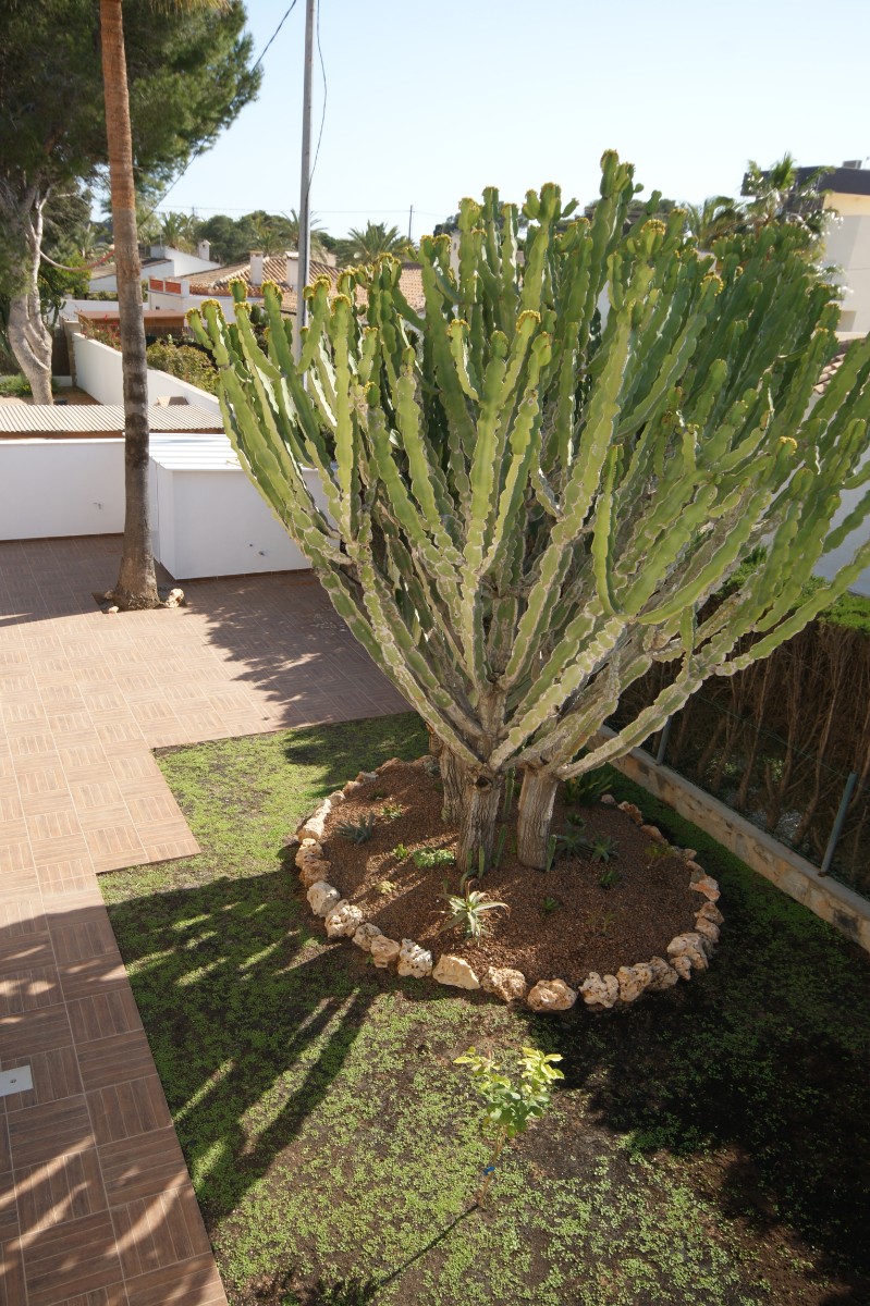 4 bedroom Villa in Cabo Roig