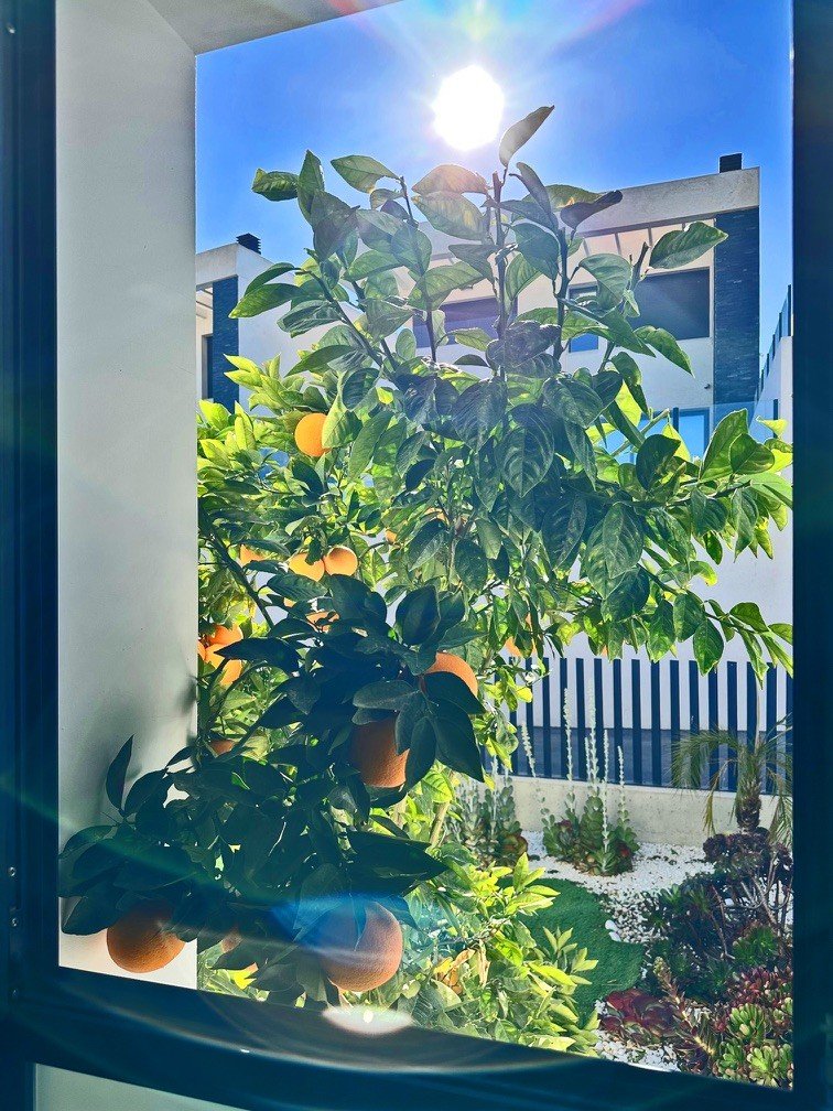 3 bedroom Villa in Rojales