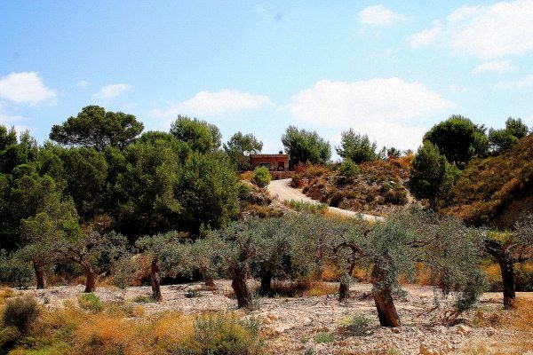 3 bedroom Country House in Murcia