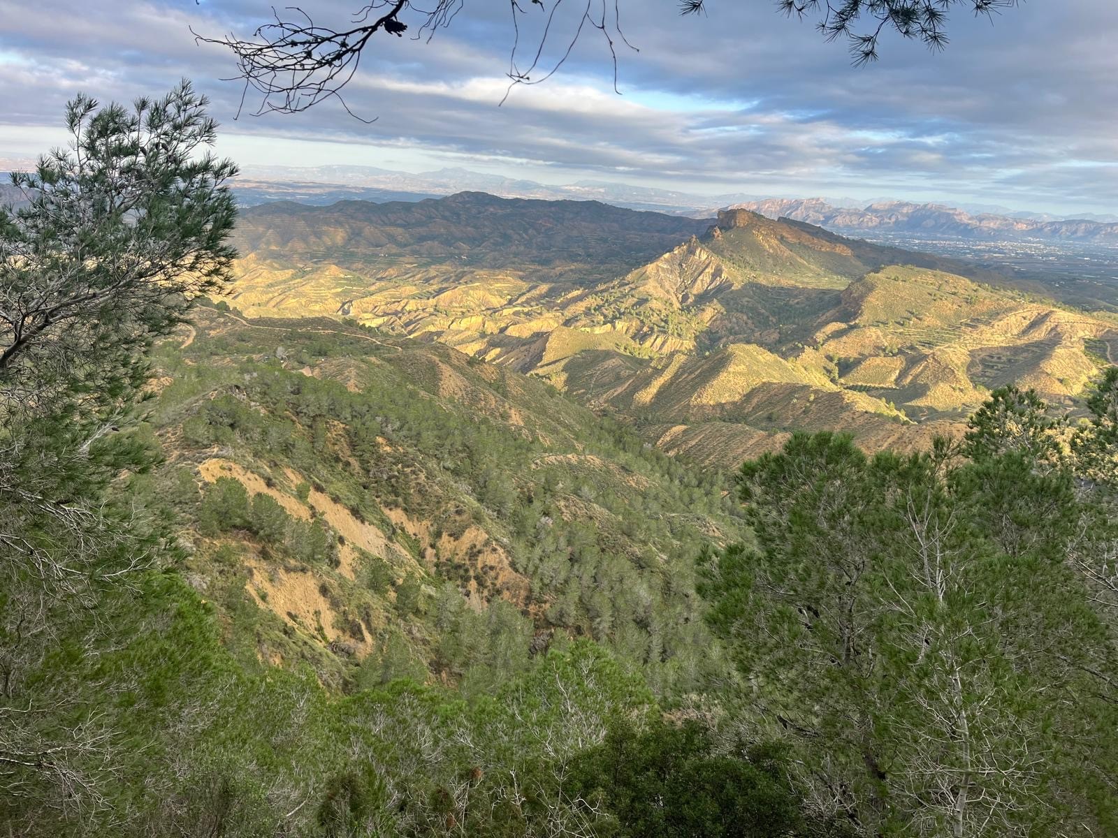 3 bedroom Country House in Murcia