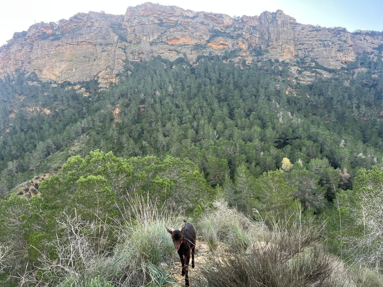 3 bedroom Country House in Murcia