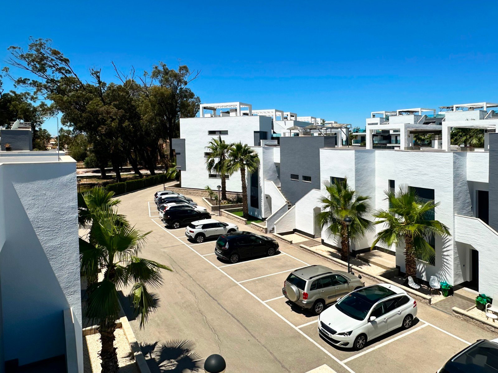 2 bedroom Apartment in Guardamar del Segura