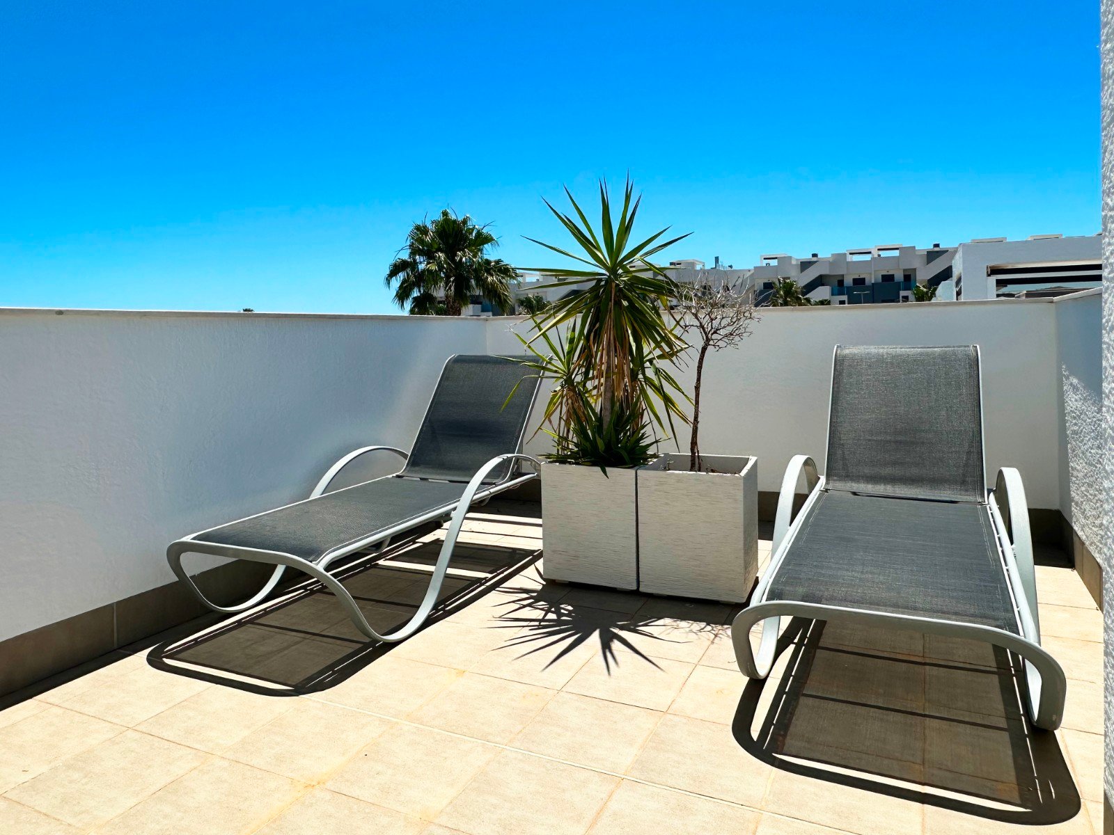 2 bedroom Apartment in Guardamar del Segura