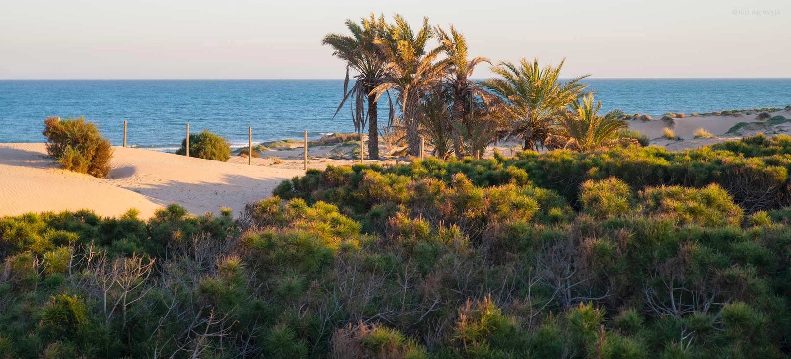 2 bedroom Apartment in Guardamar del Segura